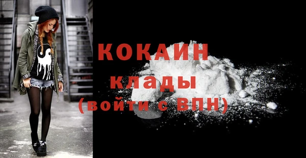 a pvp Ельня