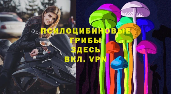 a pvp Ельня