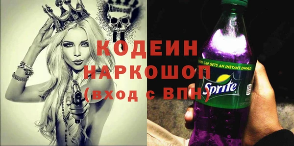 a pvp Ельня