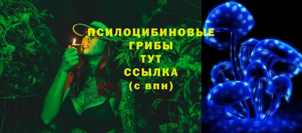 apvp Елизово