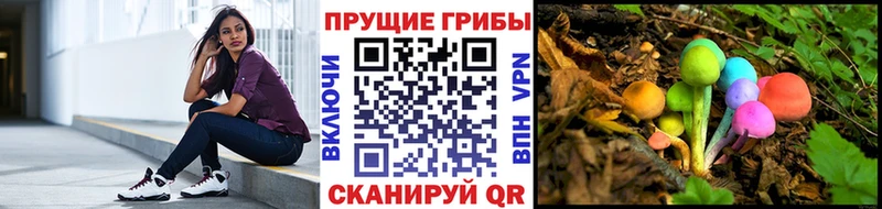 купить закладку  Ладушкин  Галлюциногенные грибы прущие грибы 